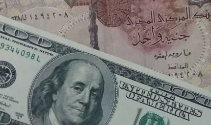 أسعار الدولار في مصر تسجل 51.99 جنيهًا للبيع في مصرف أبوظبي الإسلامي